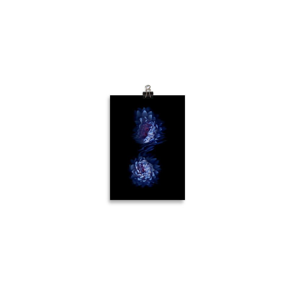 Stellar Dahlia no. 03 Scanner Art Enhanced Matte Photo Paper Print