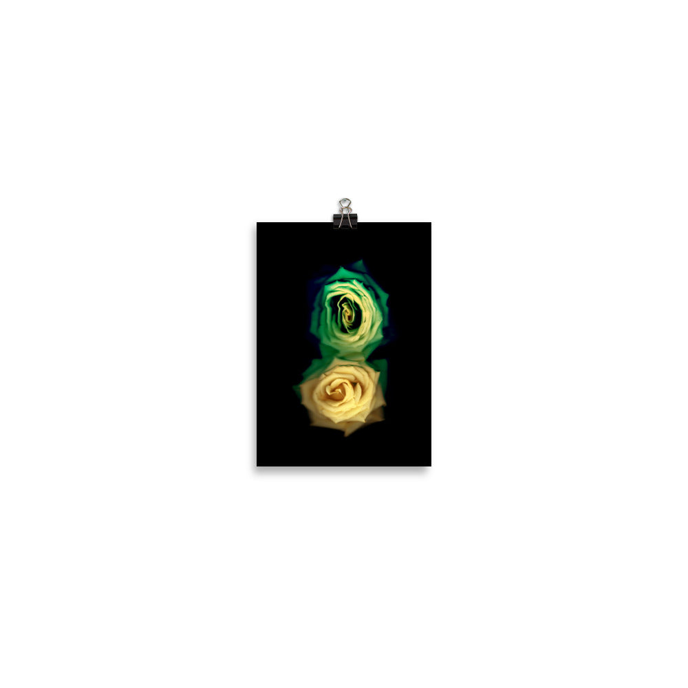 Green Fade Yellow Rose Scanography Enhanced Matte Photo Paper Print