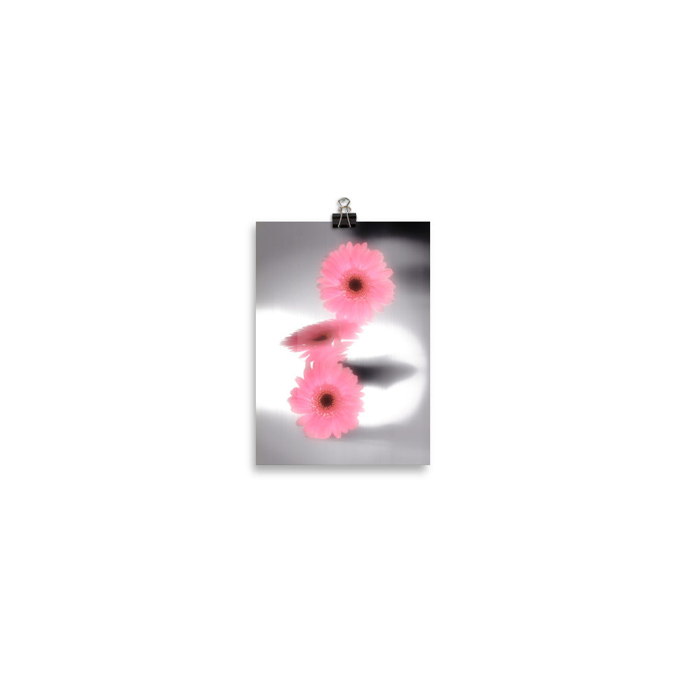 Pink Glow Gerbera Daisy Scanography Enhanced Matte Photo Paper Print