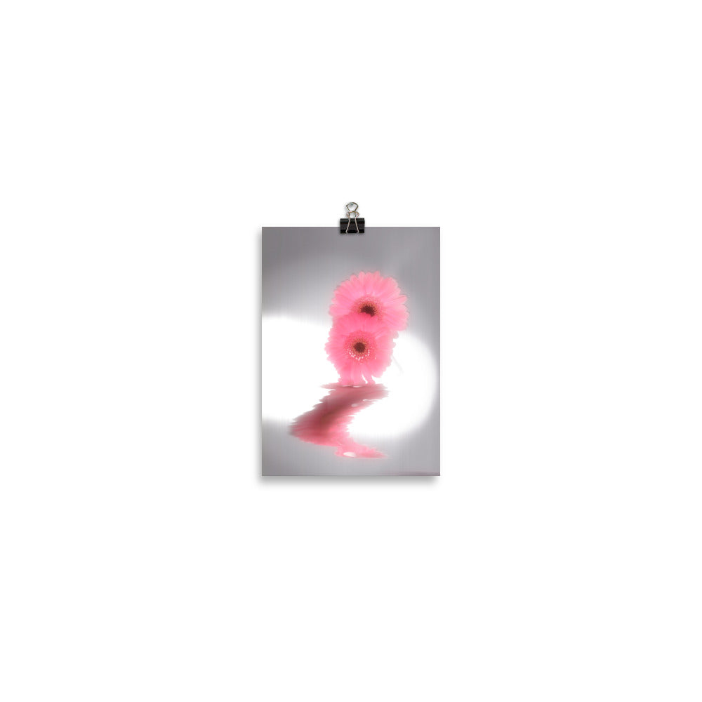 Fall Glow Pink Daisy Scanography Enhanced Matte Photo Paper Print