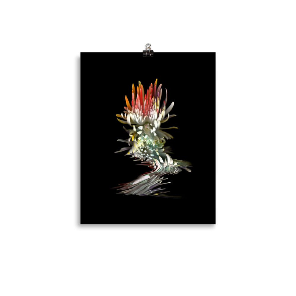 Rainbow Chrysanthemum no. 02 Scanography Photo Paper Print