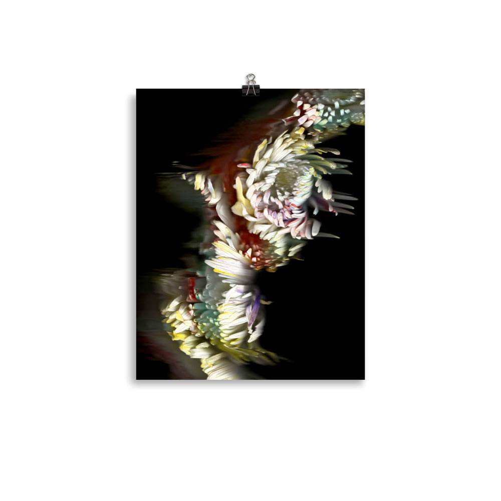Rainbow Chrysanthemum no. 03 Scanography Photo Paper Print