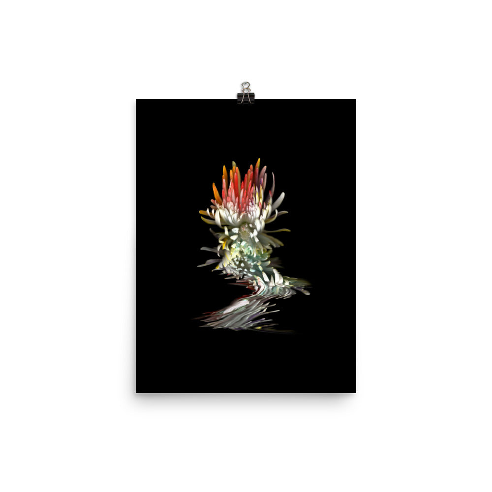 Rainbow Chrysanthemum no. 02 Scanography Photo Paper Print