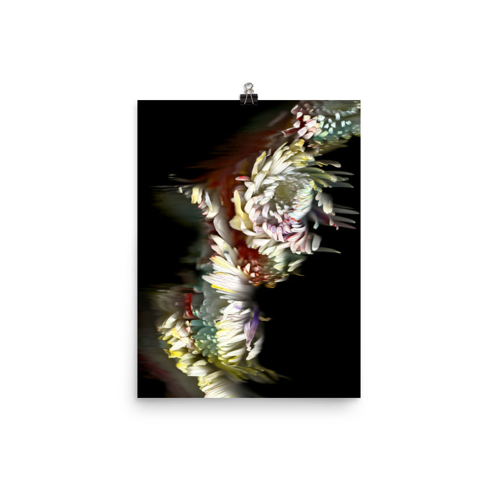 Rainbow Chrysanthemum no. 03 Scanography Photo Paper Print