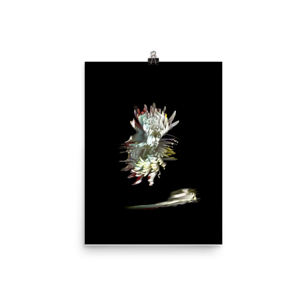 Rainbow Chrysanthemum no. 05 Scanography Photo Paper Print