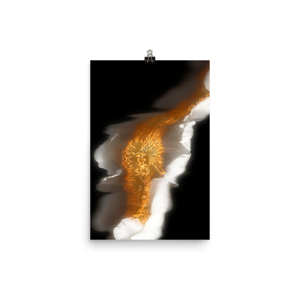 Glow Peony Scanography no. 1 Photo Paper Print