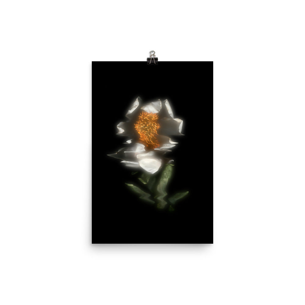 Glow Peony Scanography no. 4 Photo Paper Print