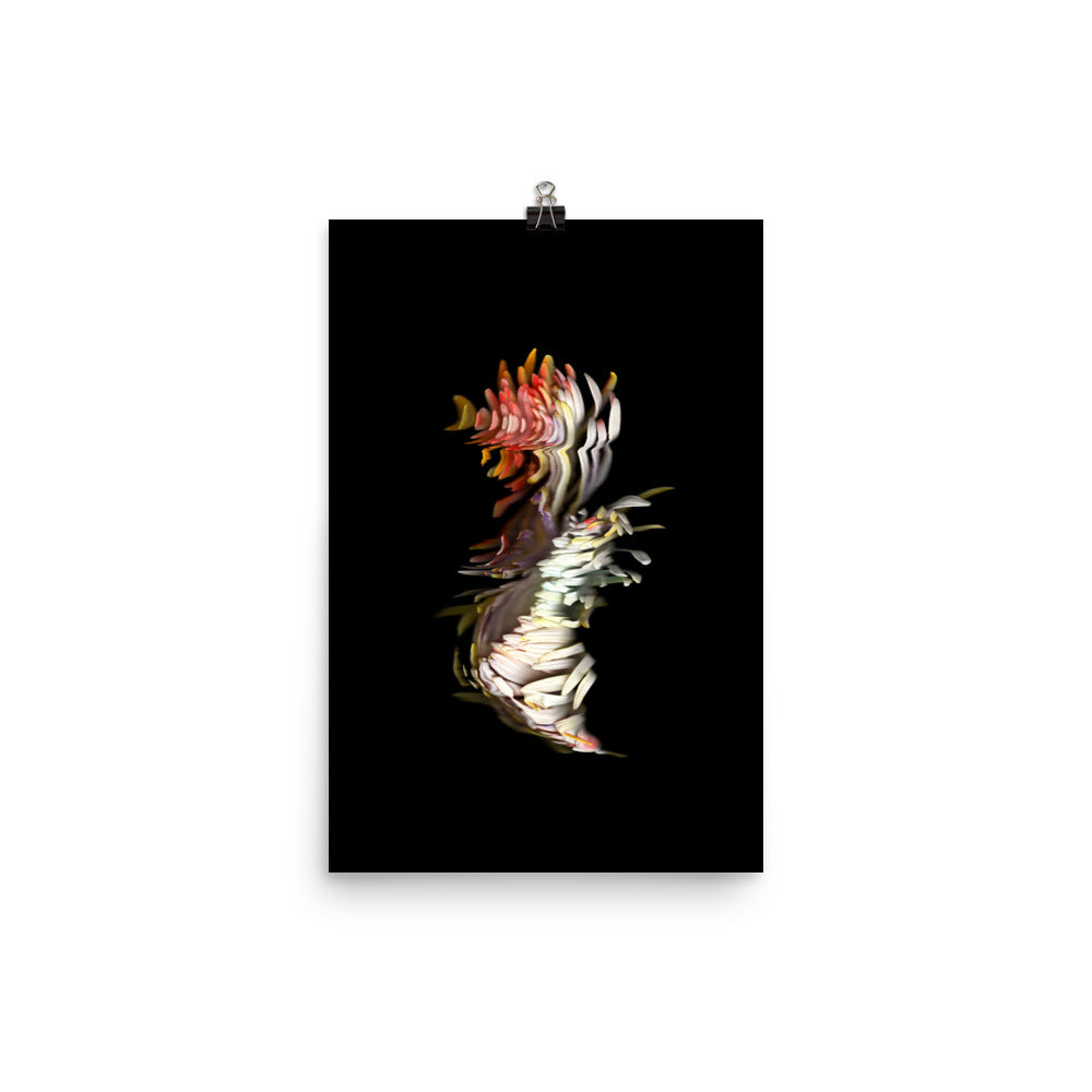 Rainbow Chrysanthemum no. 04 Scanography Photo Paper Print