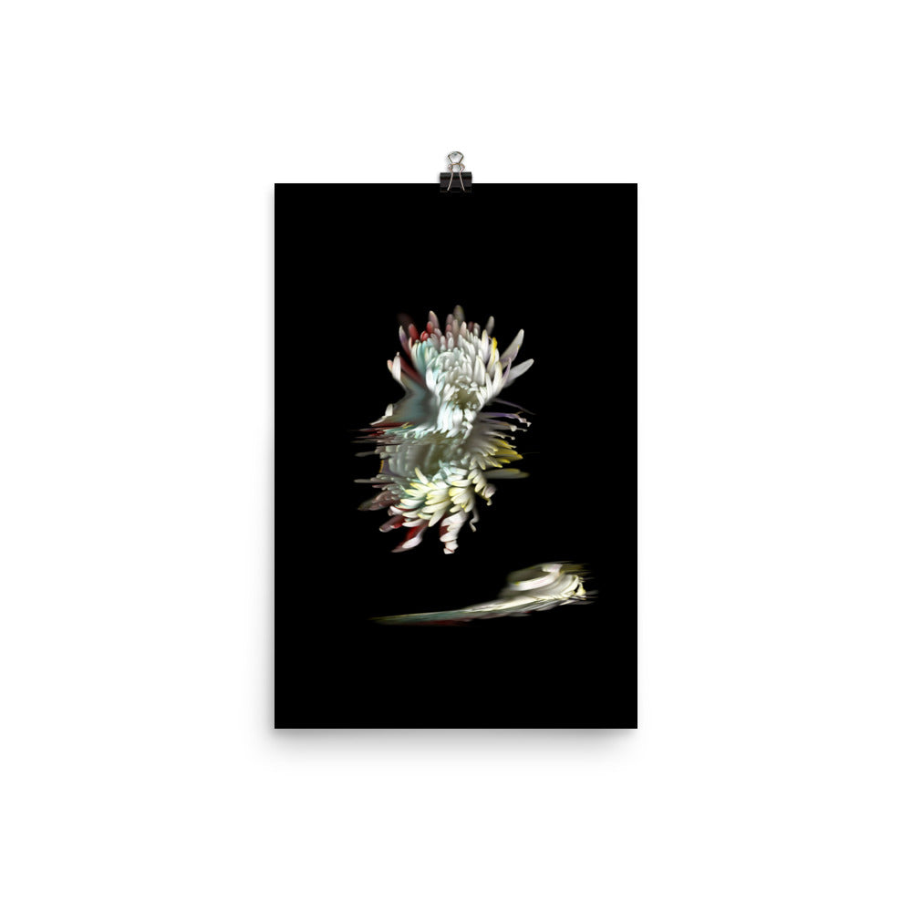 Rainbow Chrysanthemum no. 05 Scanography Photo Paper Print