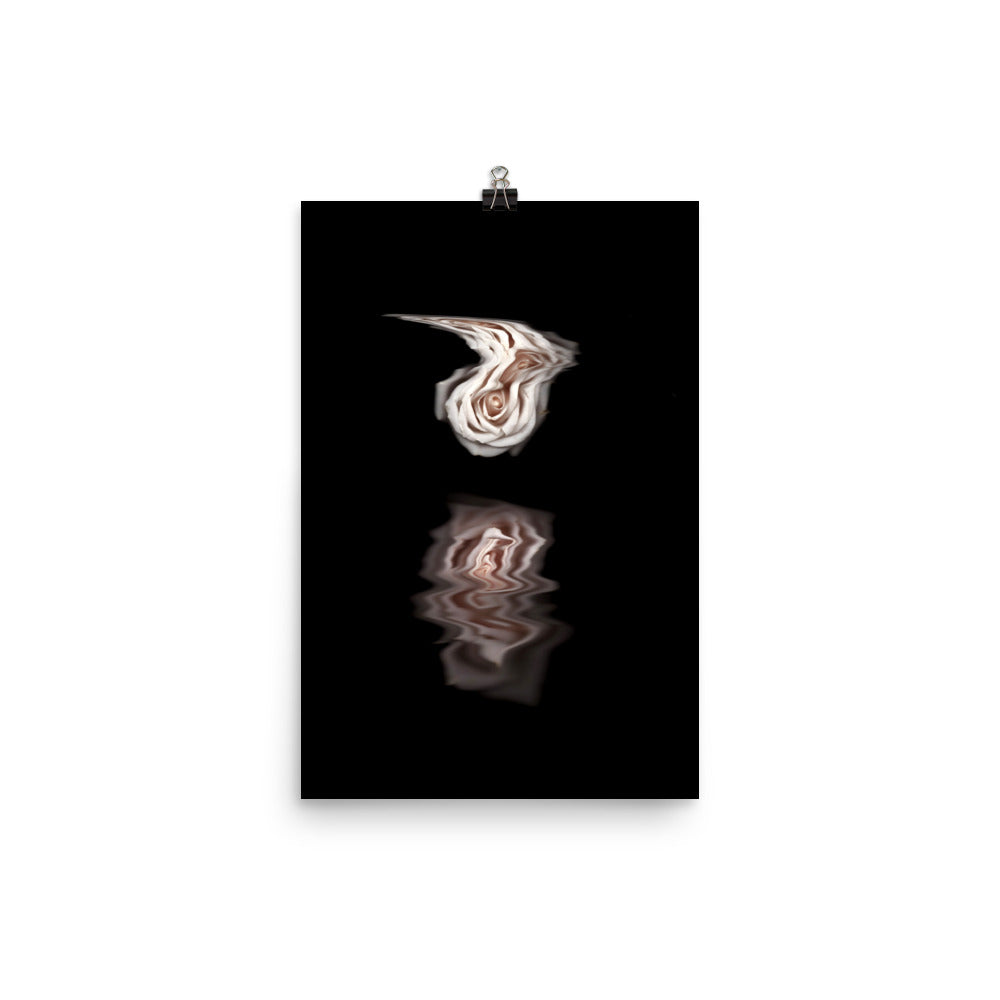 Pink Rose Mirage Scanography Photo Paper Print