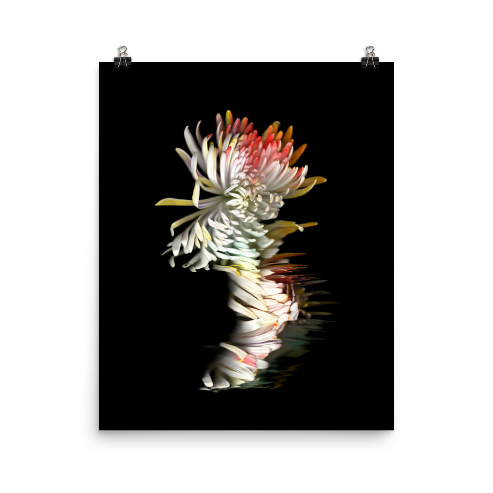 Rainbow Chrysanthemum no. 01 Scanography Photo Paper Print