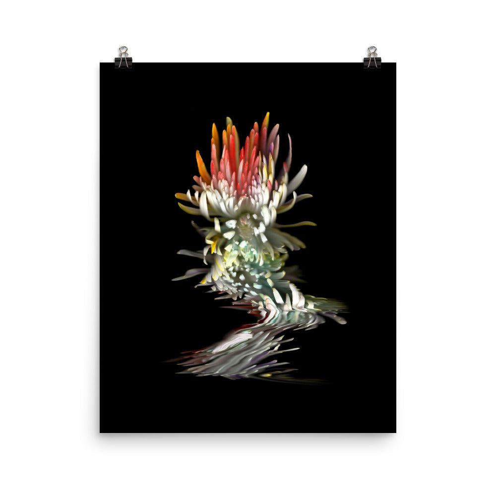 Rainbow Chrysanthemum no. 02 Scanography Photo Paper Print