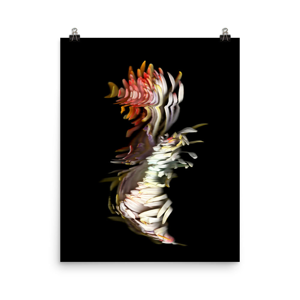 Rainbow Chrysanthemum no. 04 Scanography Photo Paper Print