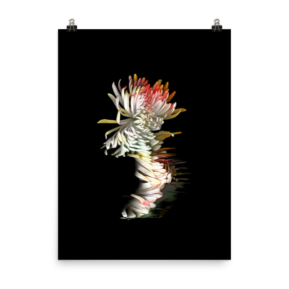 Rainbow Chrysanthemum no. 01 Scanography Photo Paper Print