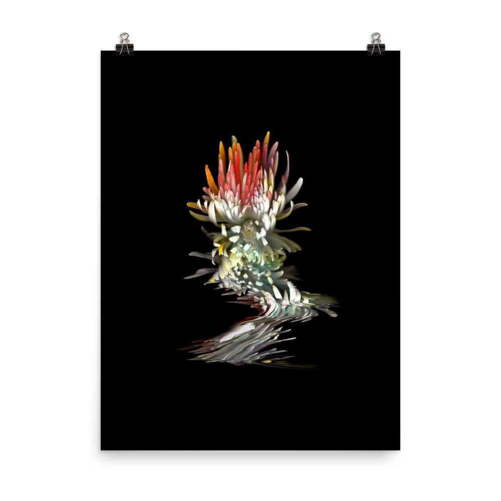 Rainbow Chrysanthemum no. 02 Scanography Photo Paper Print