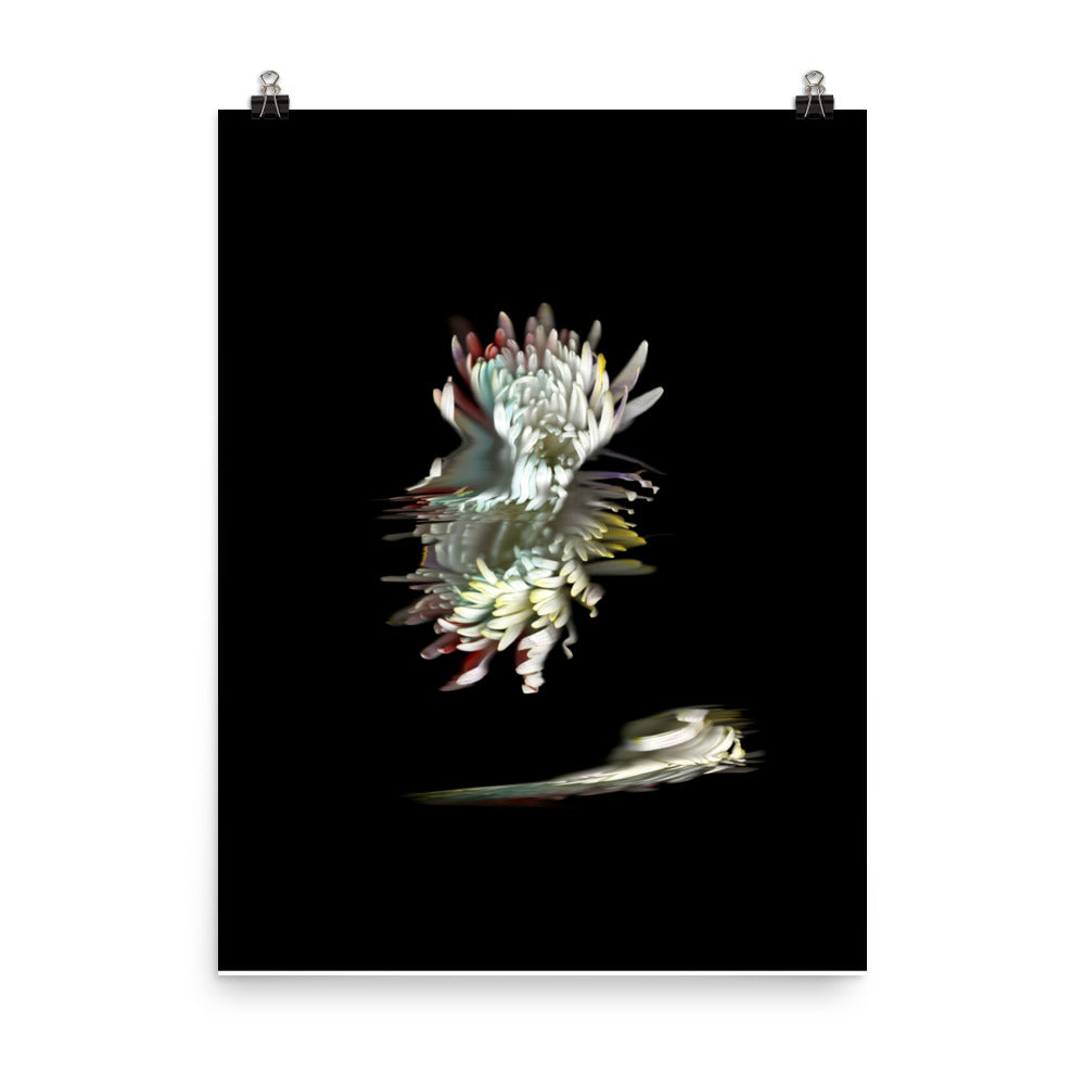 Rainbow Chrysanthemum no. 05 Scanography Photo Paper Print