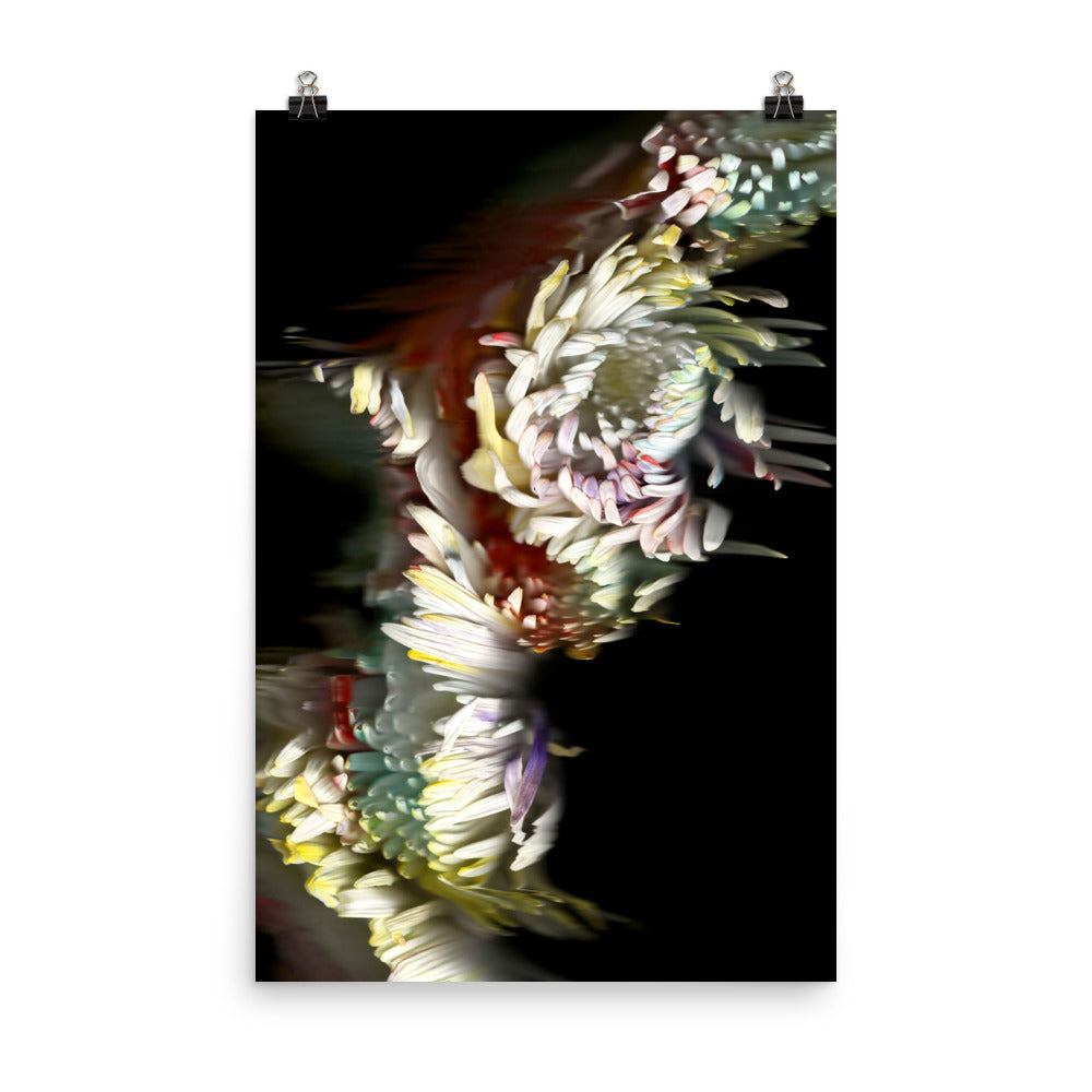 Rainbow Chrysanthemum no. 03 Scanography Photo Paper Print