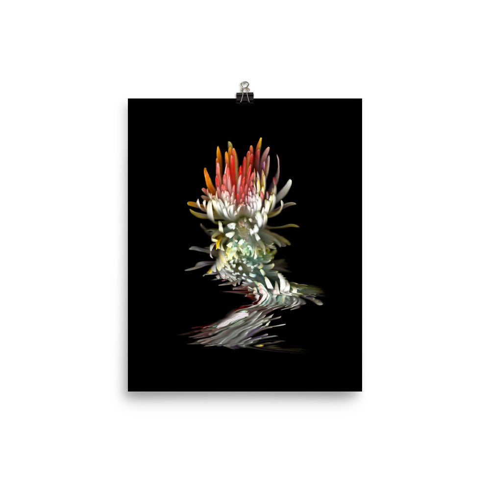 Rainbow Chrysanthemum no. 02 Scanography Photo Paper Print