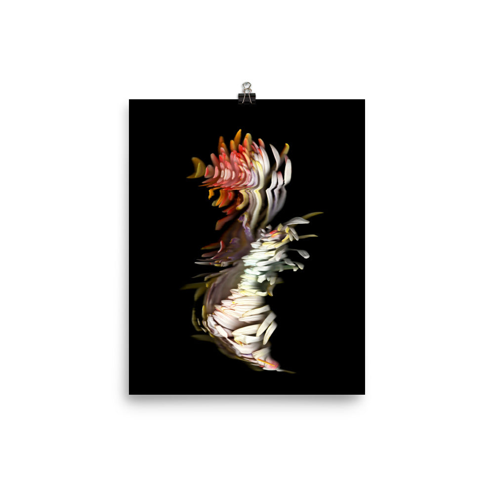 Rainbow Chrysanthemum no. 04 Scanography Photo Paper Print