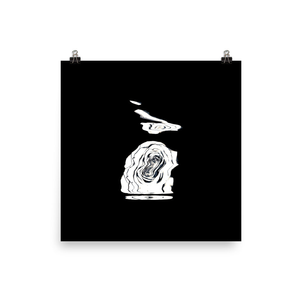 Silver Rose Collection - no. 4 Scanography Matte Photo Paper Print