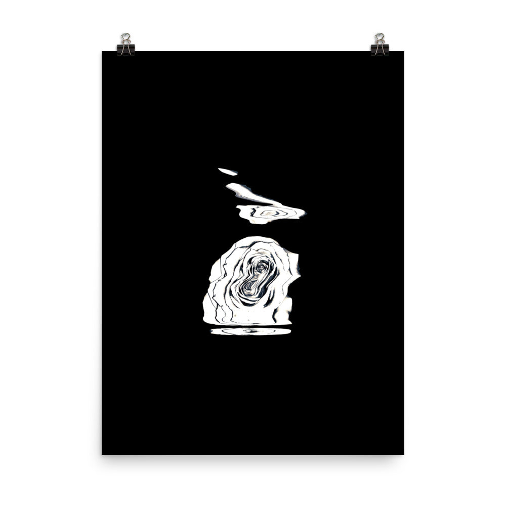 Silver Rose Collection - no. 4 Scanography Matte Photo Paper Print