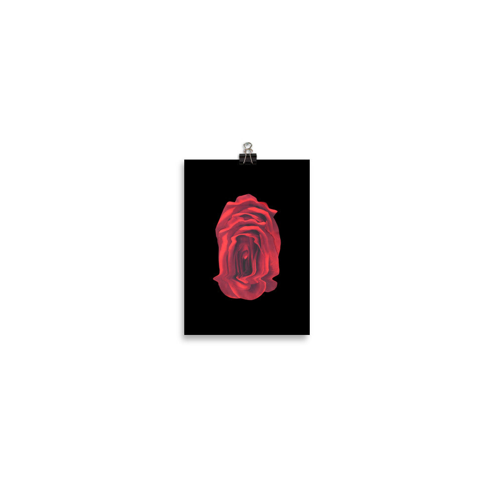 Rose Collection - no. 4 Scanography Matte Photo Paper Print