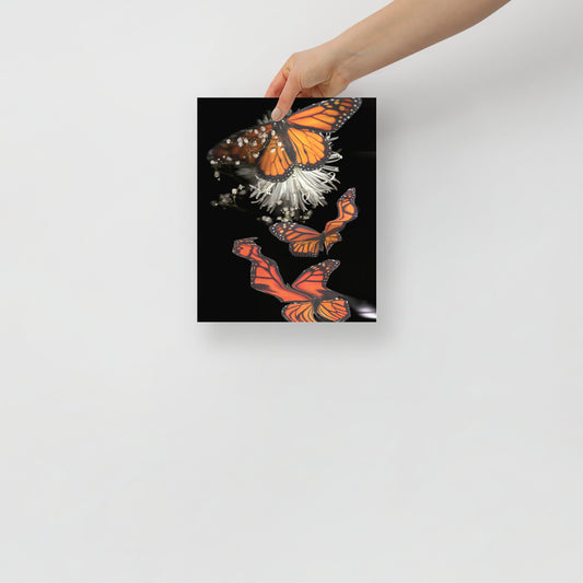 Monarch Butterfly Collage Scanography Matte Photo Paper Print