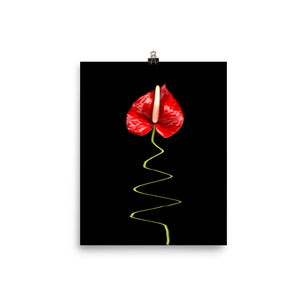 A Dance Anthurium Plant Scanography Photo Paper Print