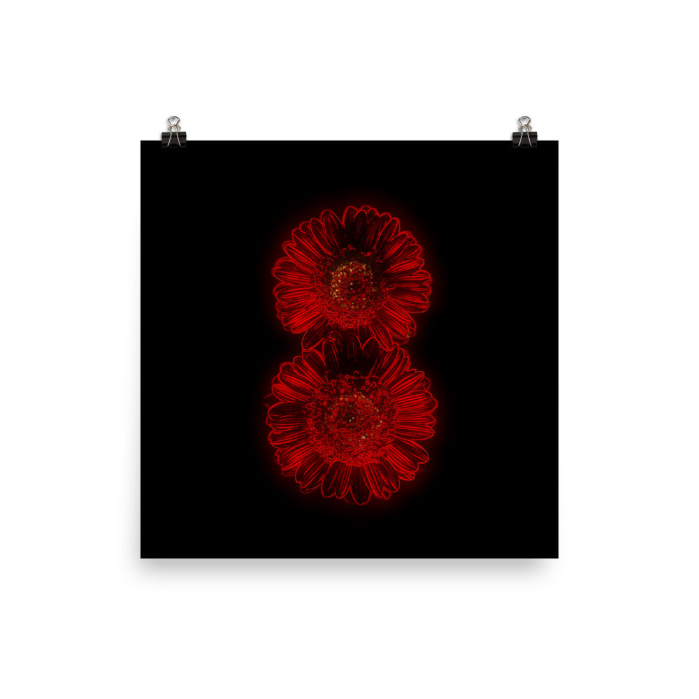 Neon Light Gerbera Daisy Scanography Enhanced Matte Photo Paper Print