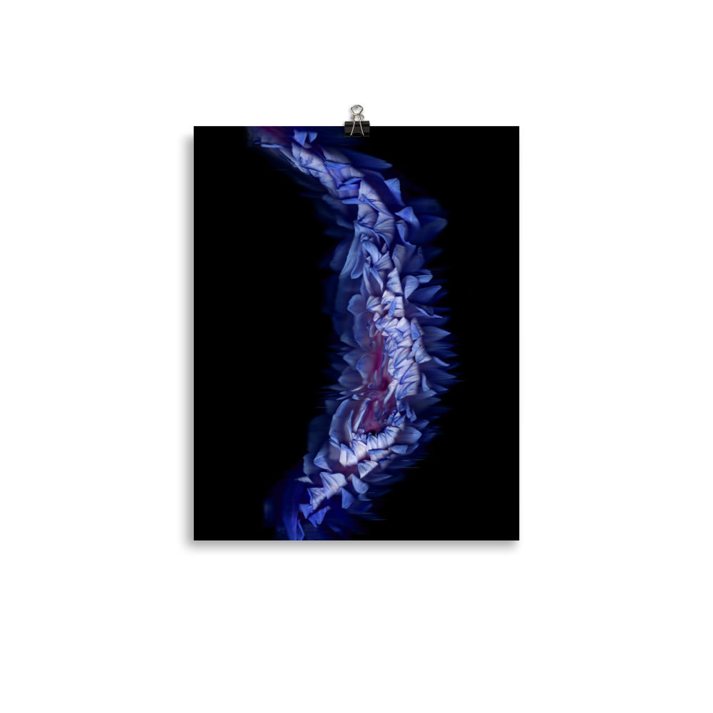 Stellar Dahlia no. 05 Scanography Enhanced Matte Photo Paper Print