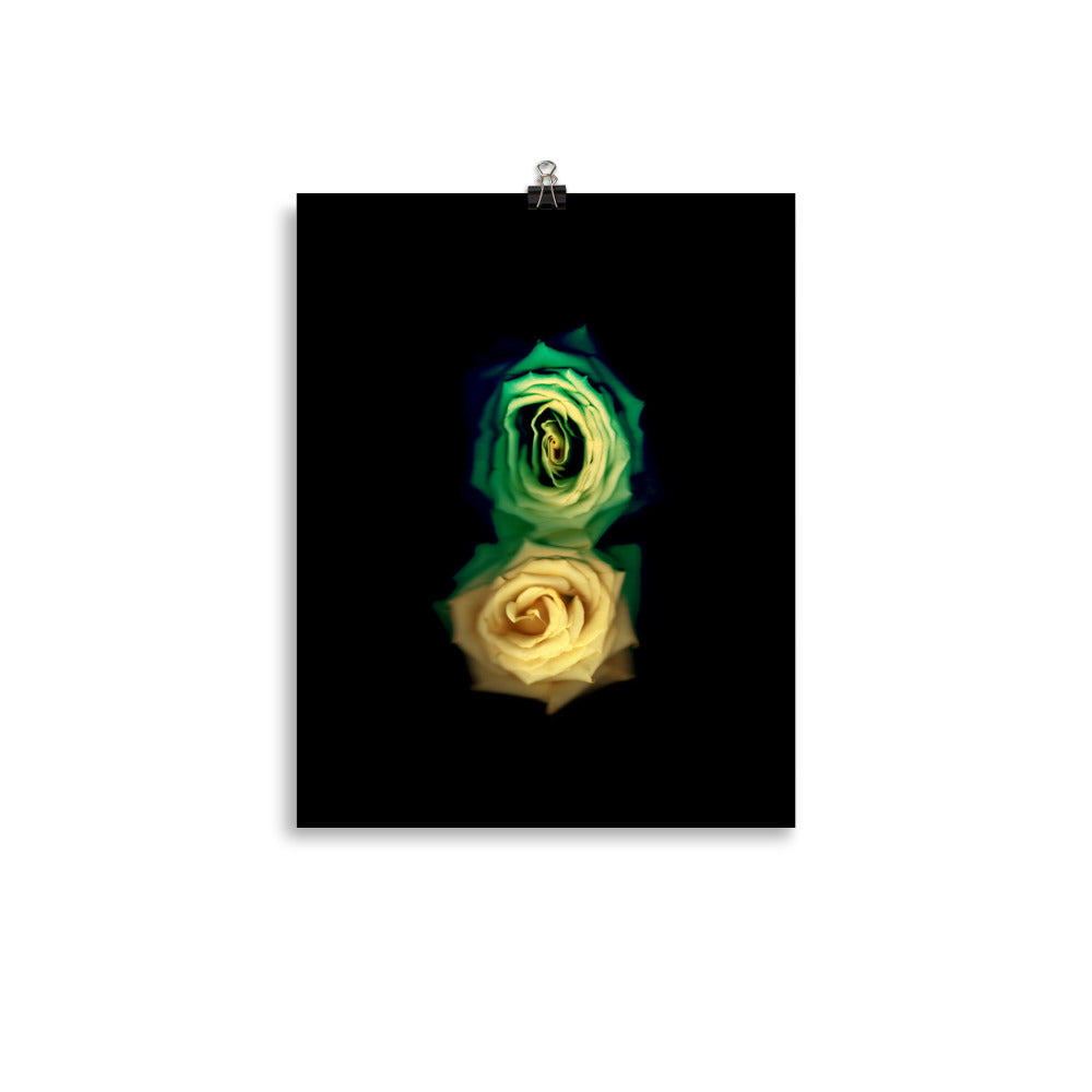 Green Fade Yellow Rose Scanography Enhanced Matte Photo Paper Print