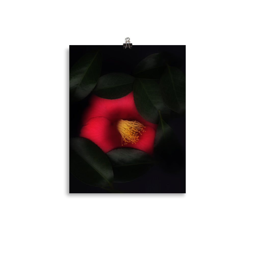 Romantic Camellia Scanography Enhanced Matte Photo Paper Print