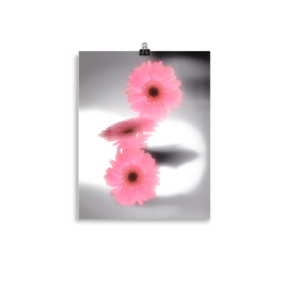 Pink Glow Gerbera Daisy Scanography Enhanced Matte Photo Paper Print
