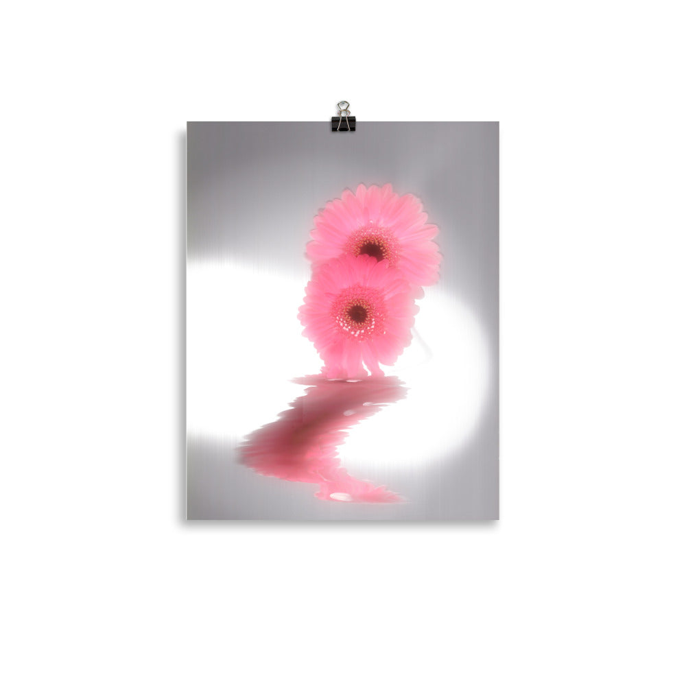 Fall Glow Pink Daisy Scanography Enhanced Matte Photo Paper Print