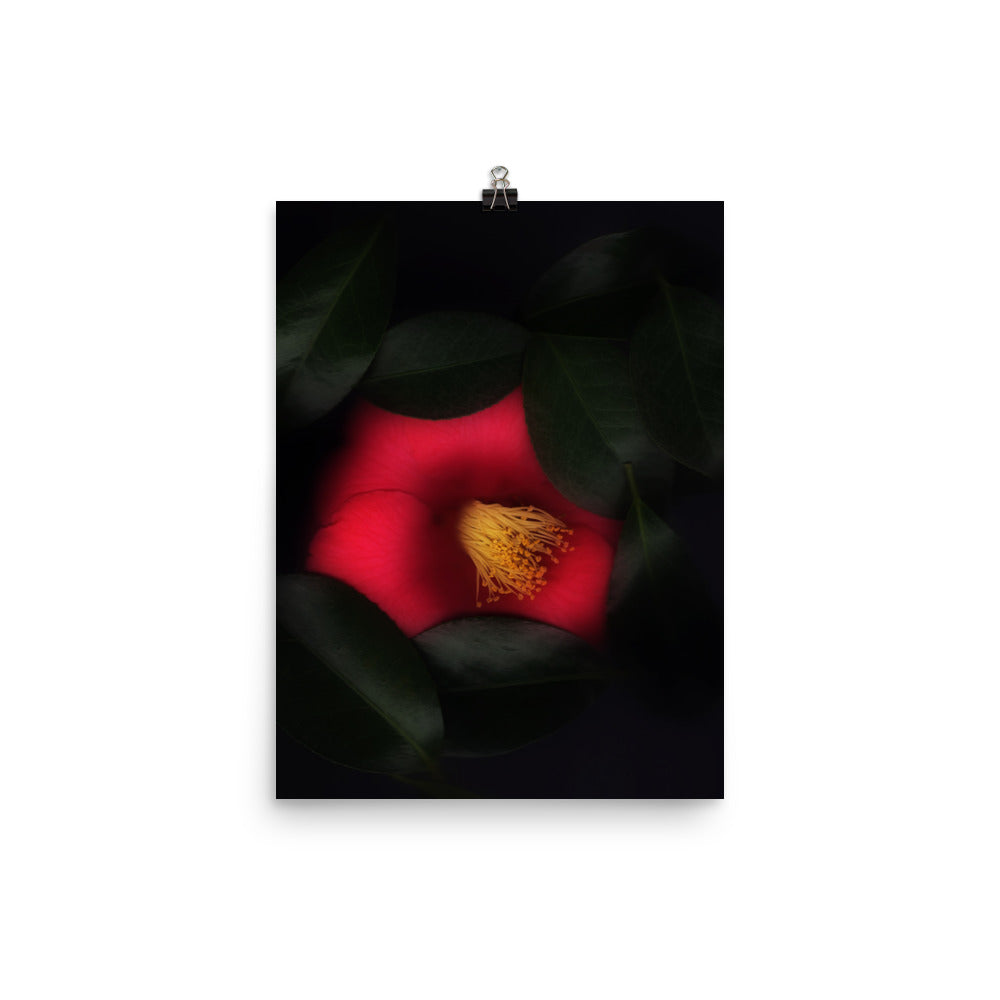 Romantic Camellia Scanography Enhanced Matte Photo Paper Print