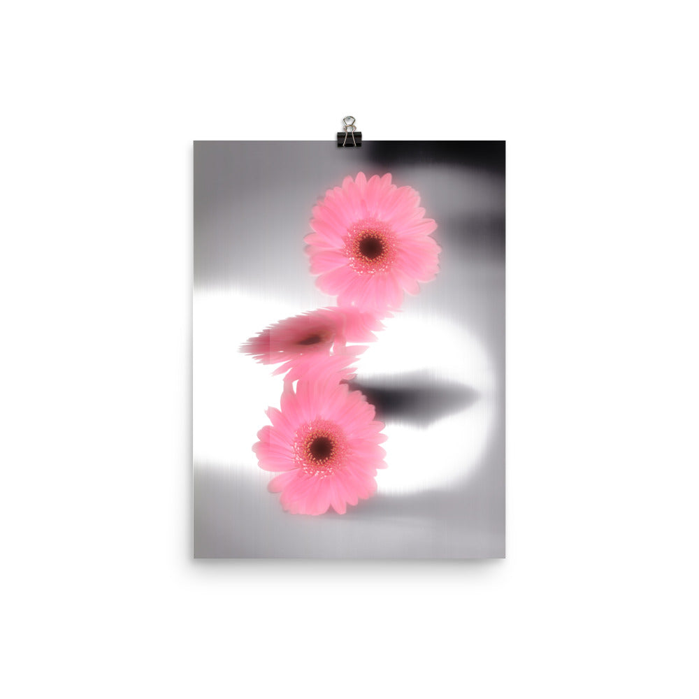 Pink Glow Gerbera Daisy Scanography Enhanced Matte Photo Paper Print