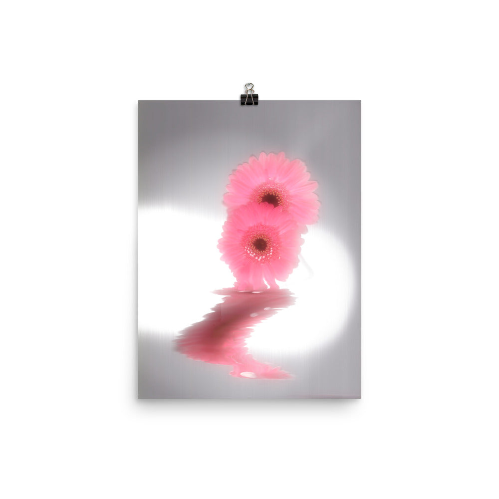 Fall Glow Pink Daisy Scanography Enhanced Matte Photo Paper Print