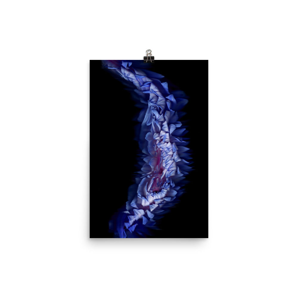 Stellar Dahlia no. 05 Scanography Enhanced Matte Photo Paper Print