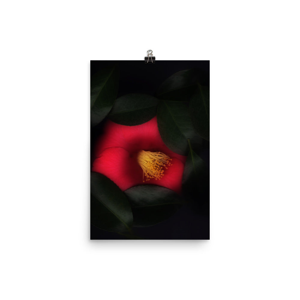 Romantic Camellia Scanography Enhanced Matte Photo Paper Print