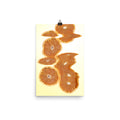 Sweet Orange Scanography Enhanced Matte Photo Paper Print