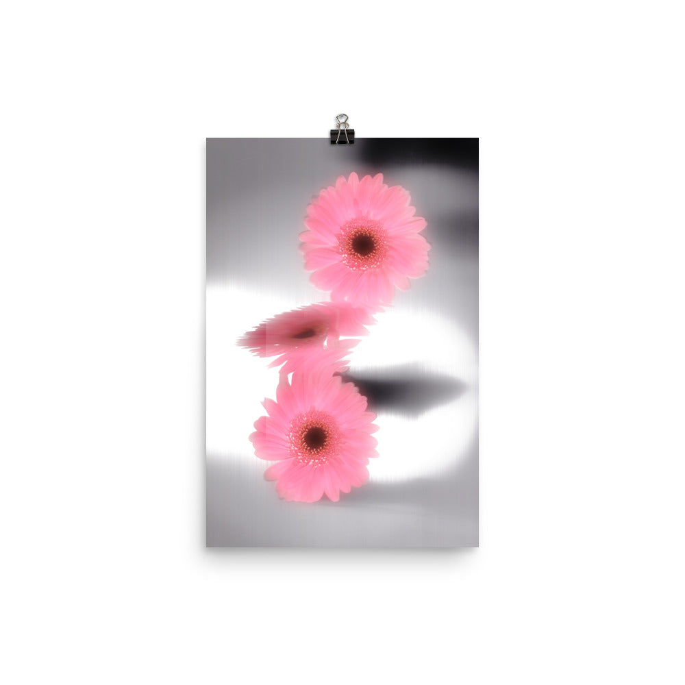 Pink Glow Gerbera Daisy Scanography Enhanced Matte Photo Paper Print