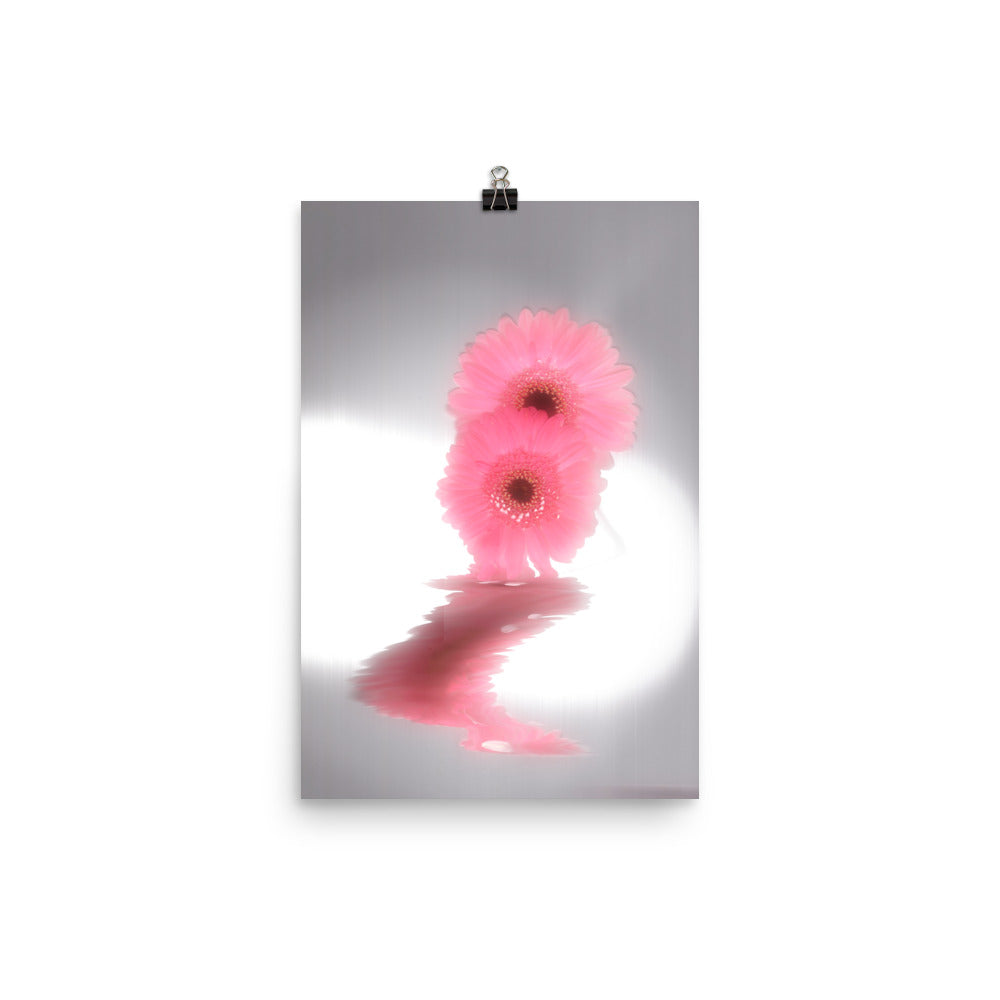 Fall Glow Pink Daisy Scanography Enhanced Matte Photo Paper Print