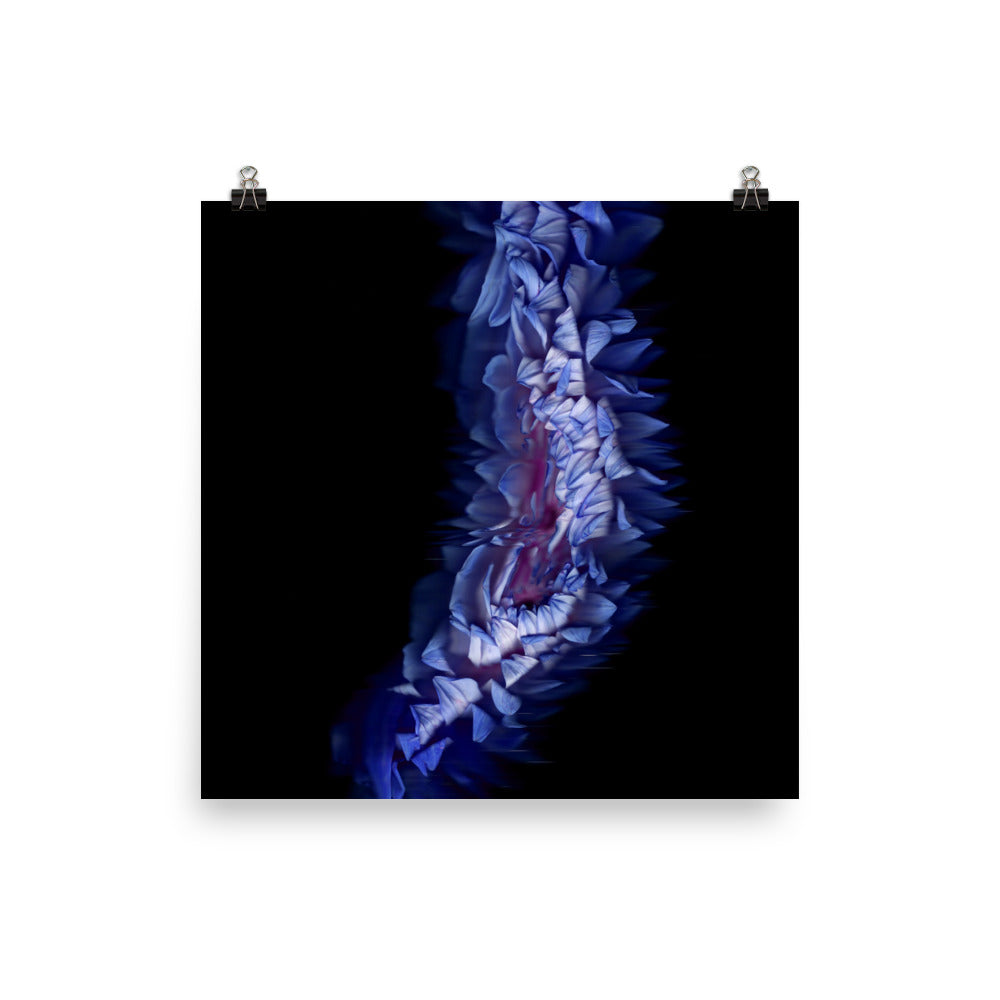 Stellar Dahlia no. 05 Scanography Enhanced Matte Photo Paper Print
