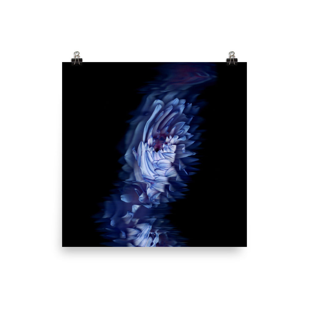 Stellar Dahlia no. 04 Scanography Enhanced Matte Photo Paper Print