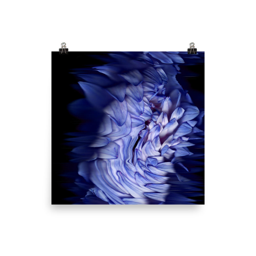 Stellar Dahlia no. 02 Scanography Enhanced Matte Photo Paper Print