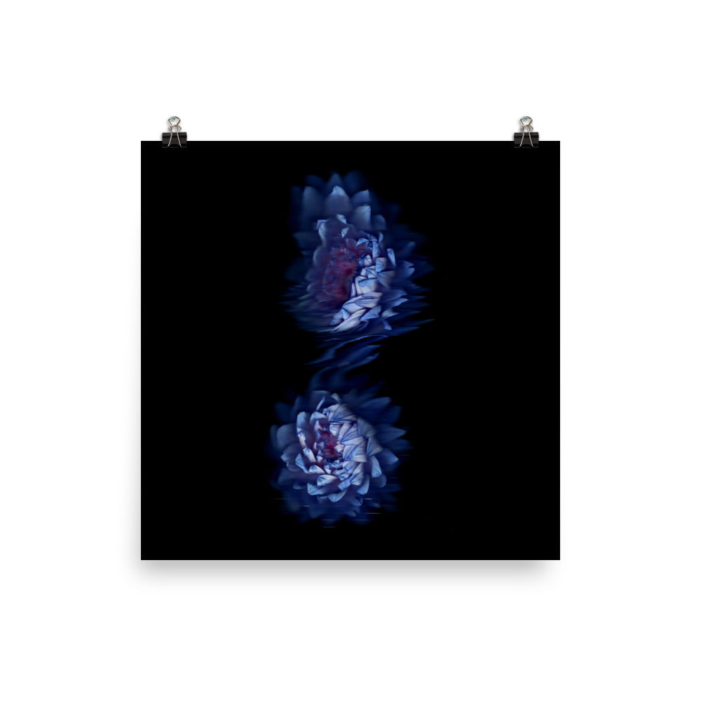 Stellar Dahlia no. 03 Scanography Enhanced Matte Photo Paper Print