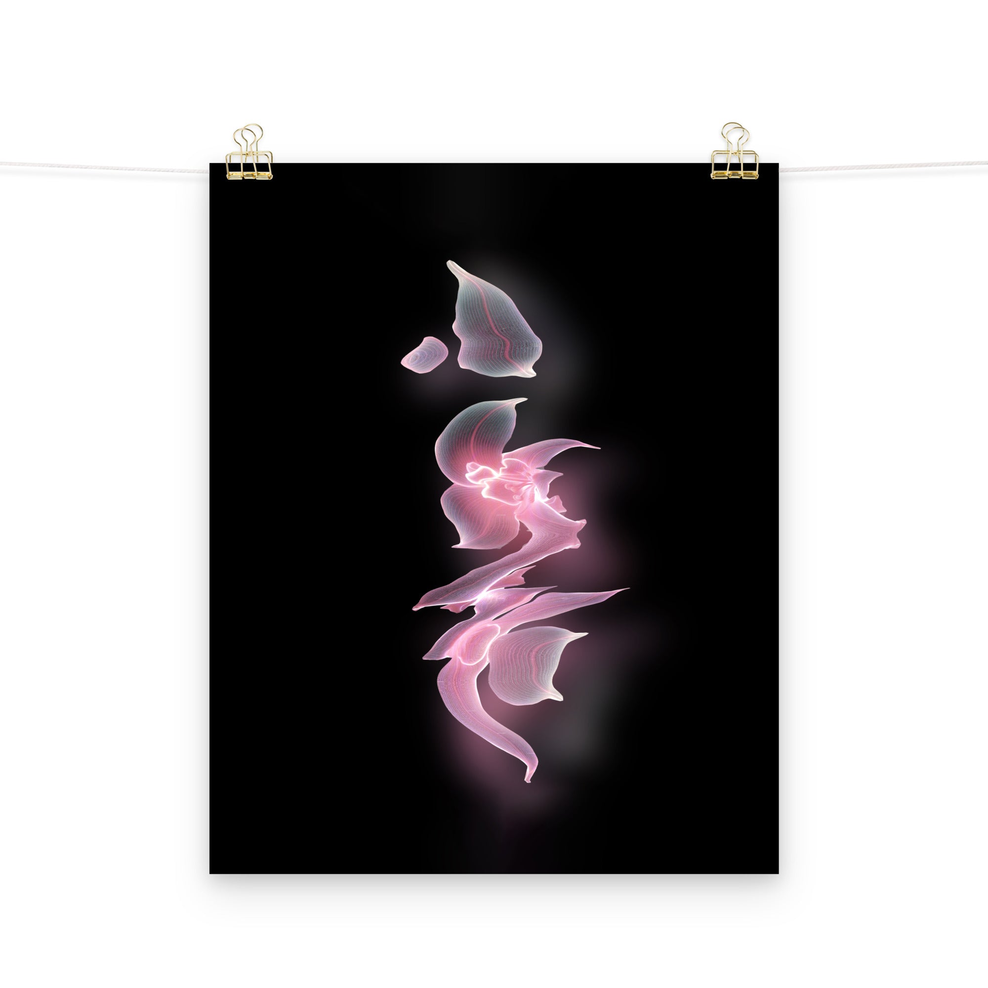 Phantom Bloom no. 1 Scanography Matte Photo Paper Print