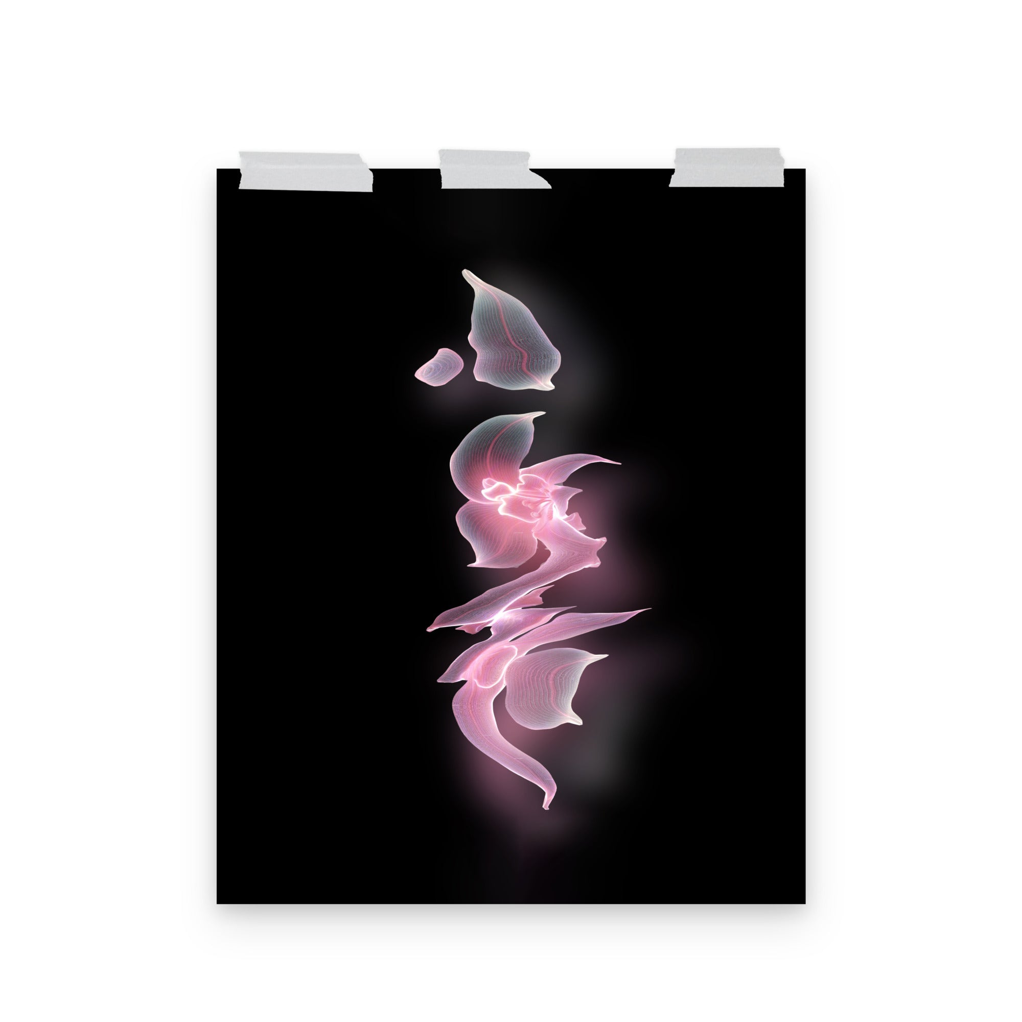 Phantom Bloom no. 1 Scanography Matte Photo Paper Print