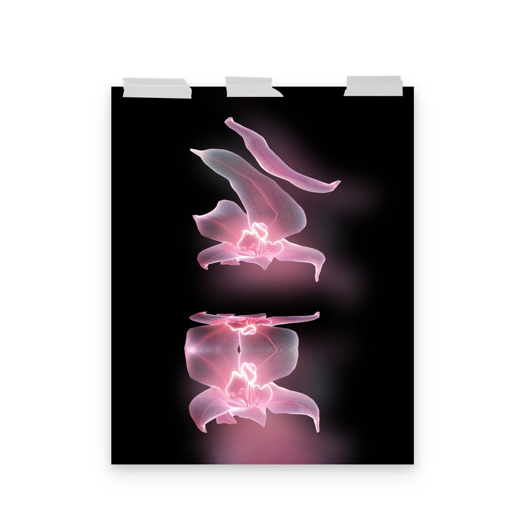 Phantom Bloom no. 2 Scanography Matte Photo Paper Print