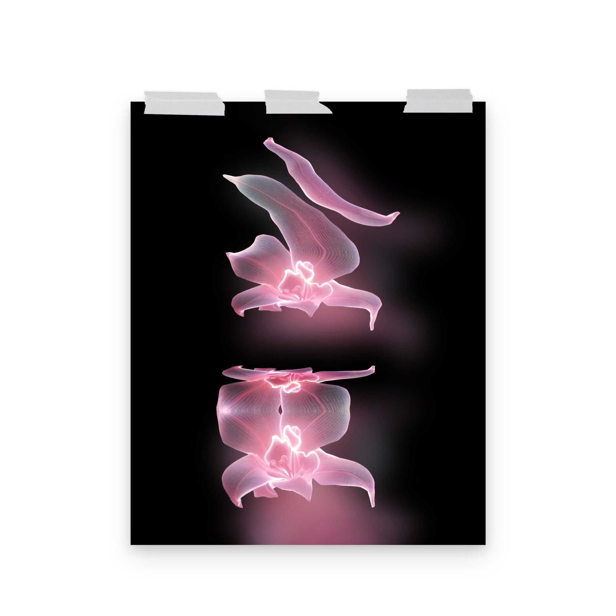 Phantom Bloom no. 2 Scanography Matte Photo Paper Print